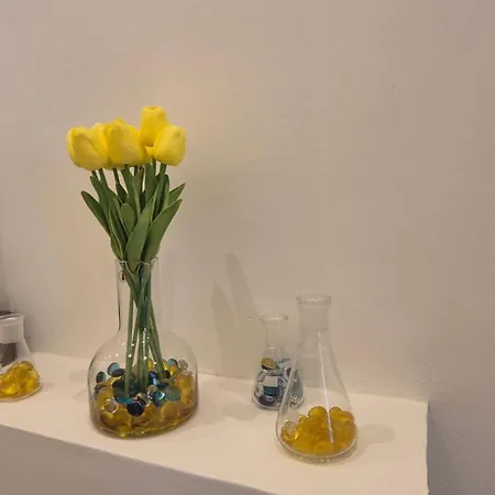 Mali Bed & Breakfast Salerno